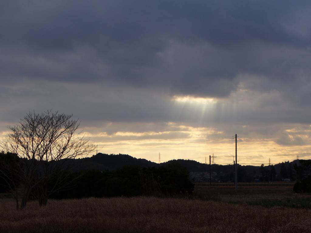 雲行きが怪しい