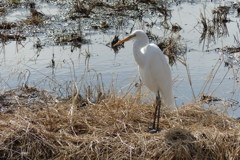 腹ごしらえ前の休息？