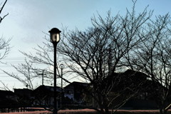 午後の公園
