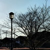 午後の公園