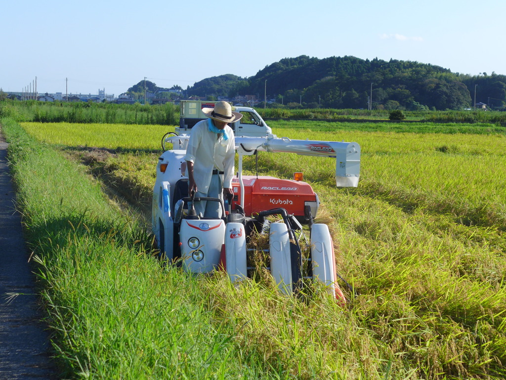 作業開始