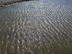 水紋
