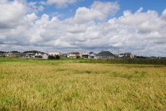 田園風景