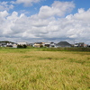 田園風景