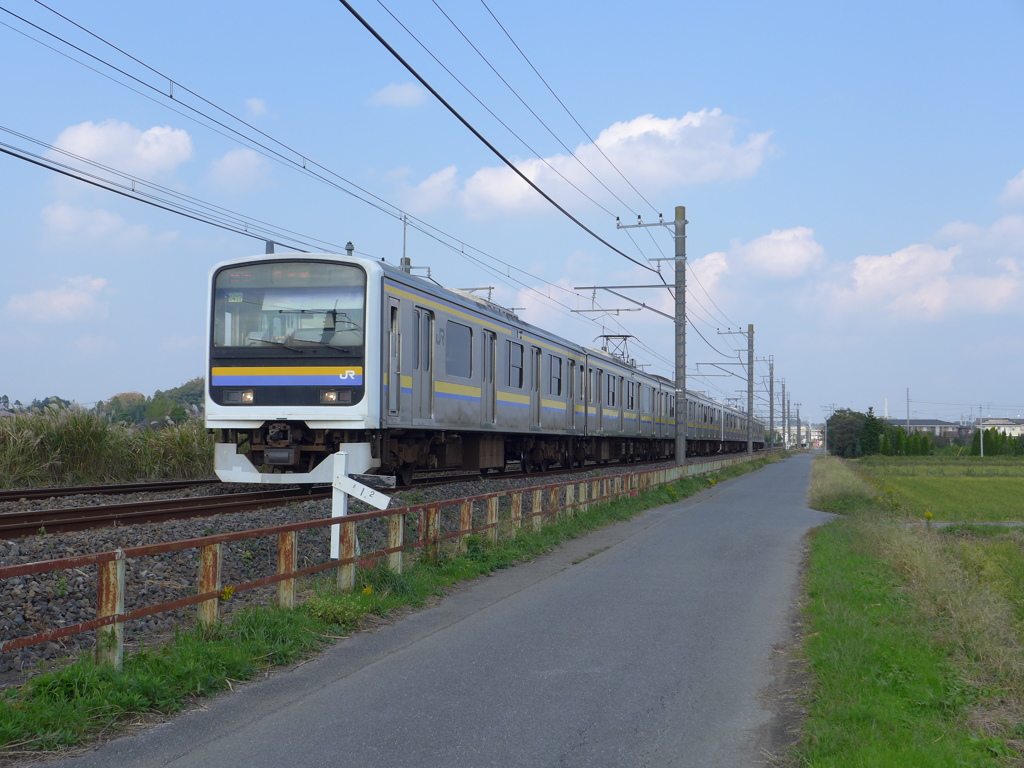 さっぱりしました