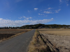 いつもの田園冬景色　1
