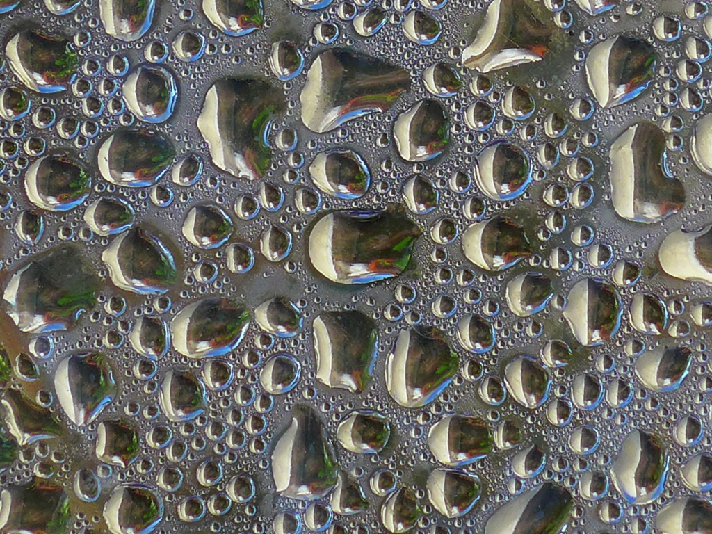 露　４