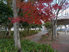 とある公園