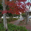 とある公園