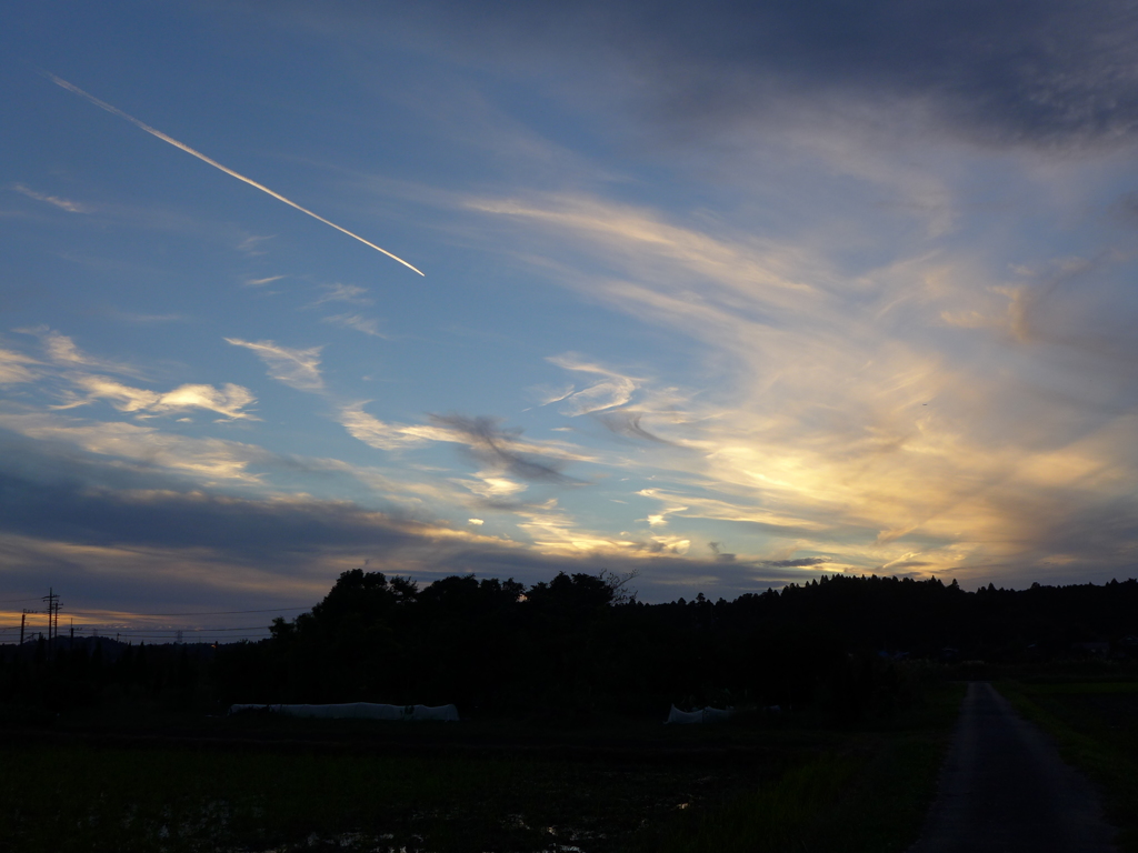 飛行機雲