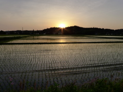 夕映え①