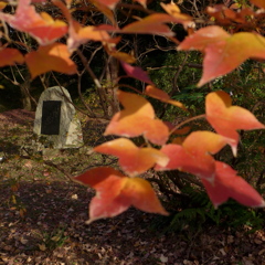 公園の隅の碑