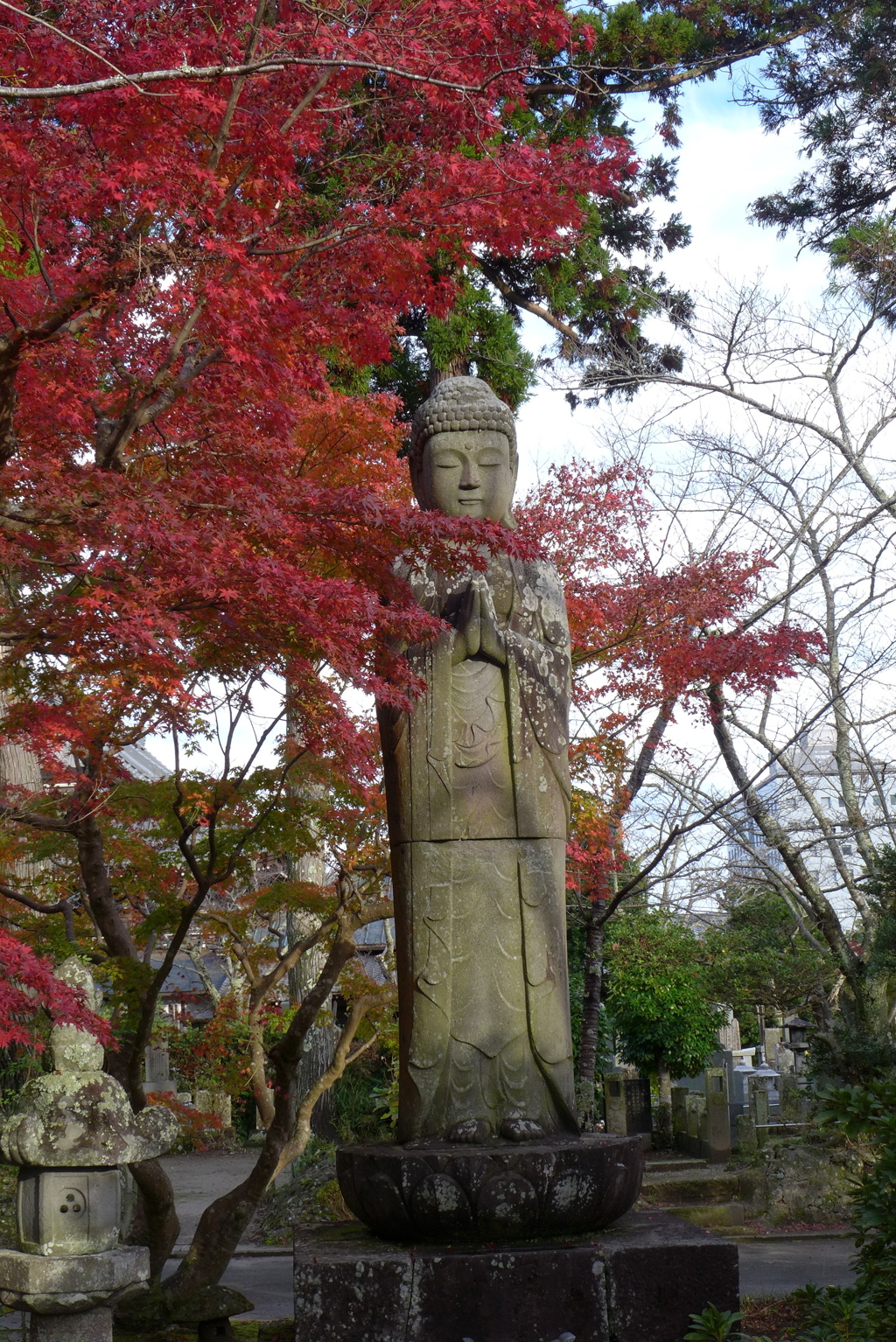 如来像と紅葉