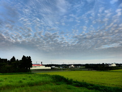 押し寄せる雲