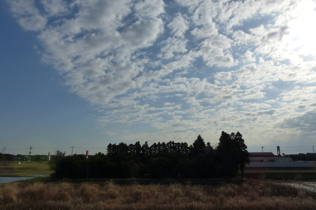 まだら雲