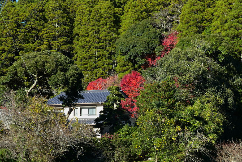 山裾の風景