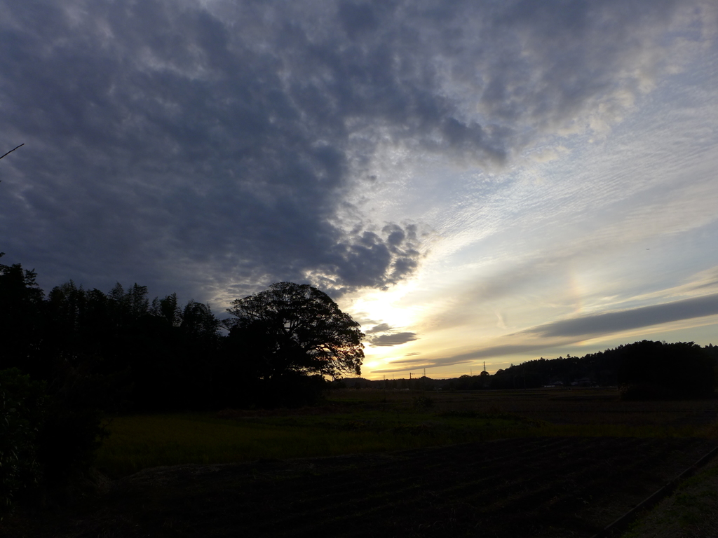夕陽