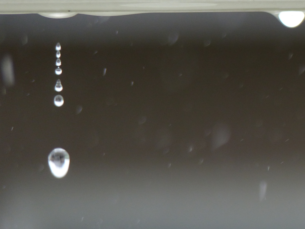 雨垂れ観察　2