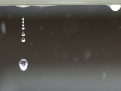 雨垂れ観察　2