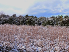 雪化粧　1