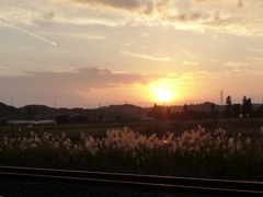 線路脇からの夕陽