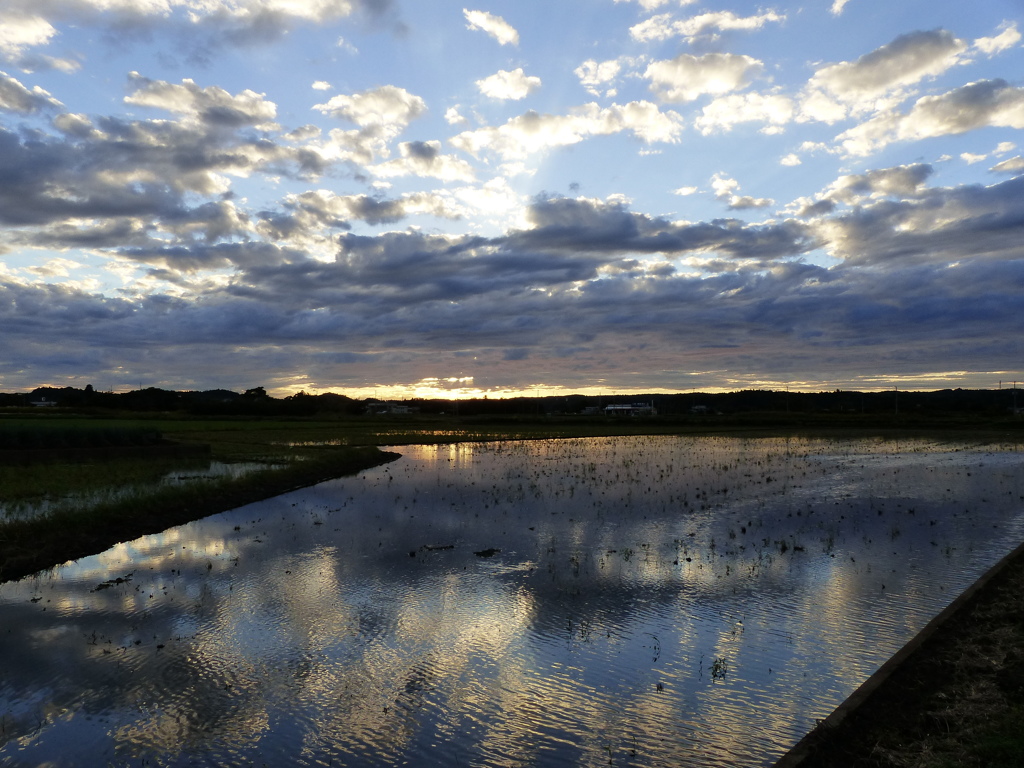 夕景