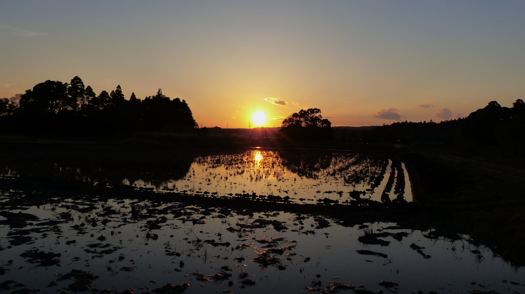夕焼け　1