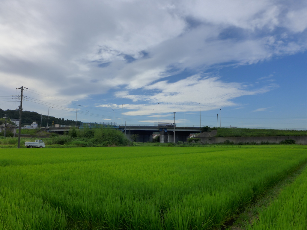 跨線橋