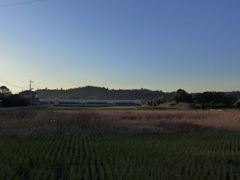 夕景　１