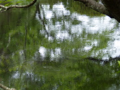 水面の表情