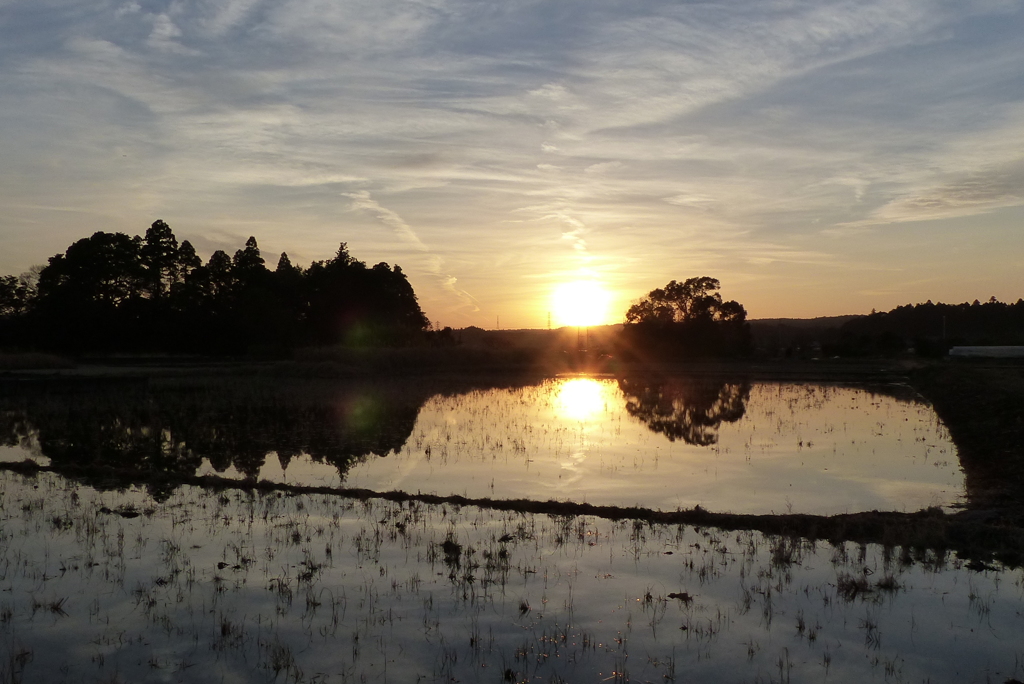 夕景