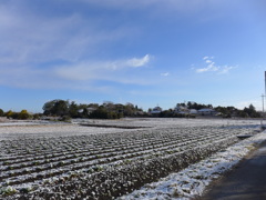 雪景色　2