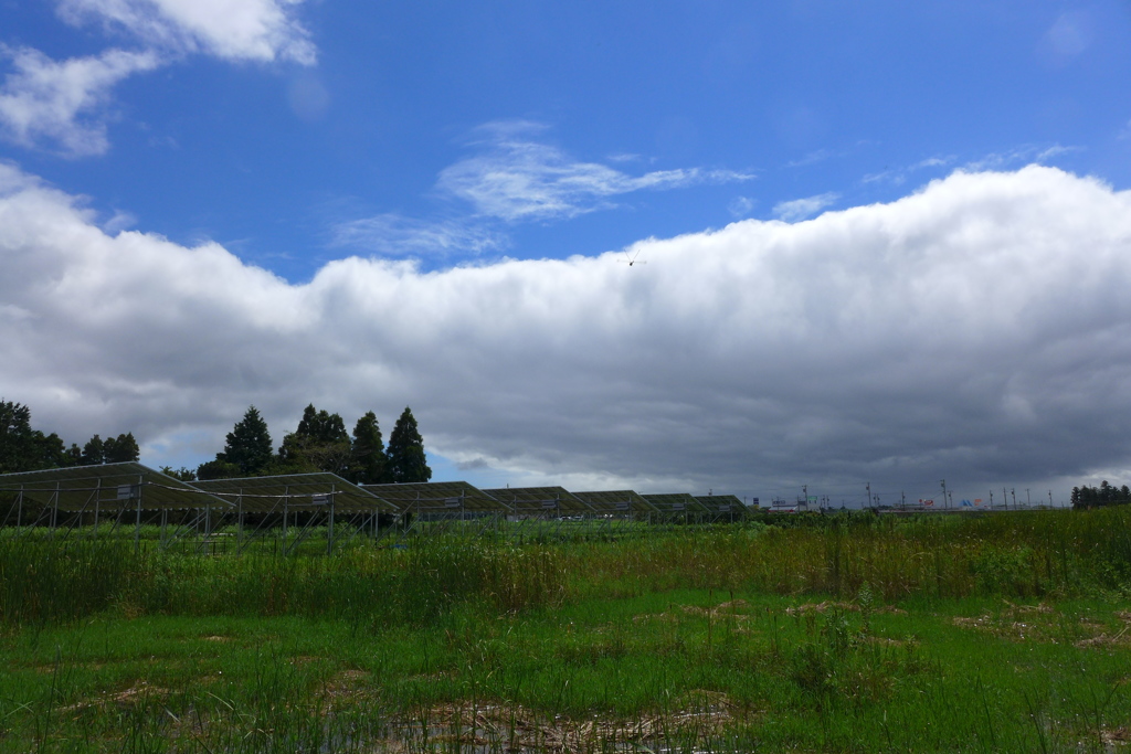 大雲のしっぽ