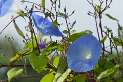 爽やか