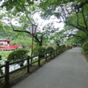 茂原公園