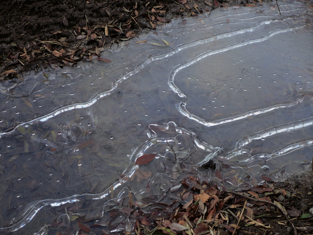 氷のひび