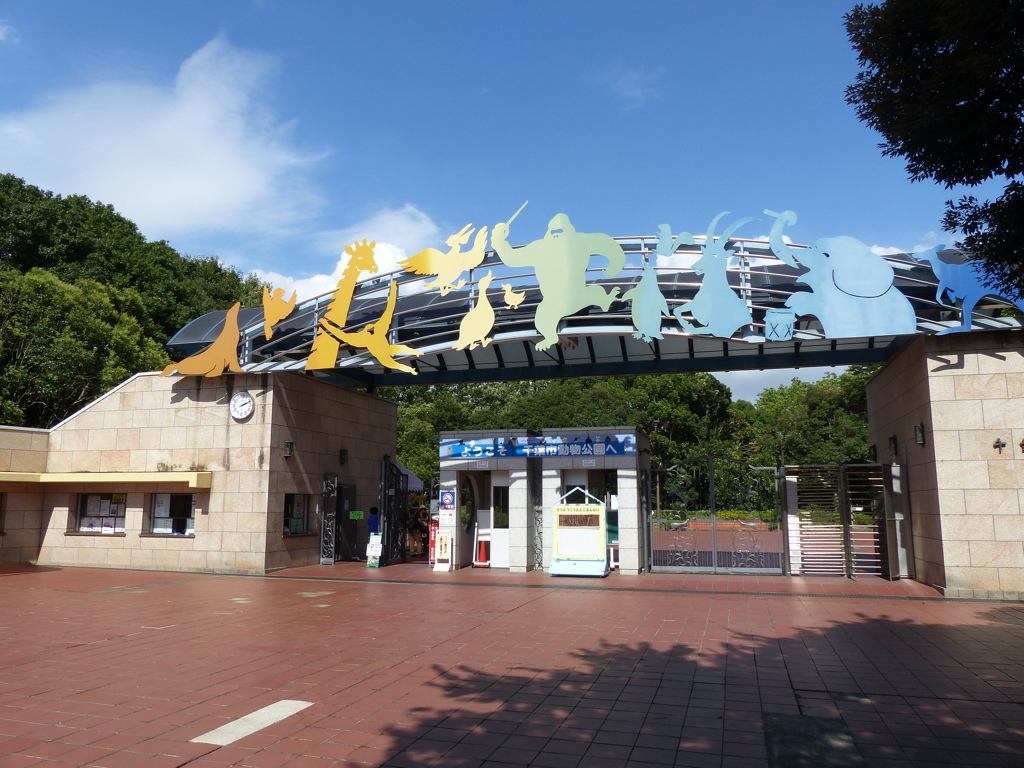 ガラガラの入り口