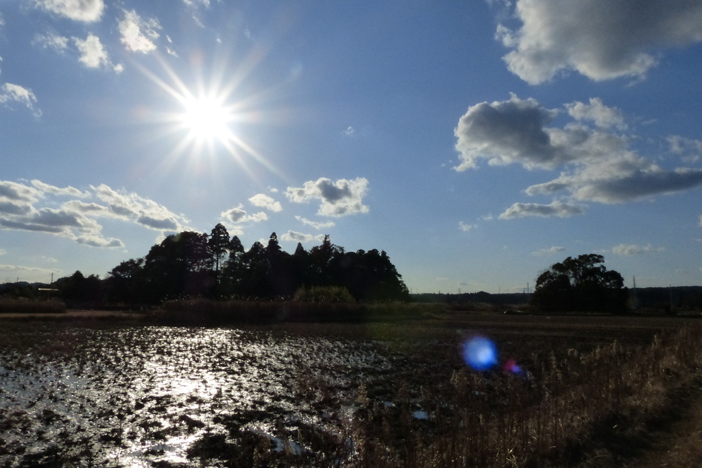 冬の風景