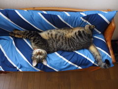 何か用？