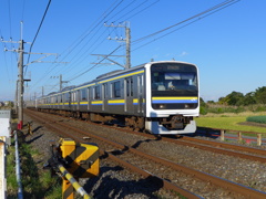 秋の西日を受けて