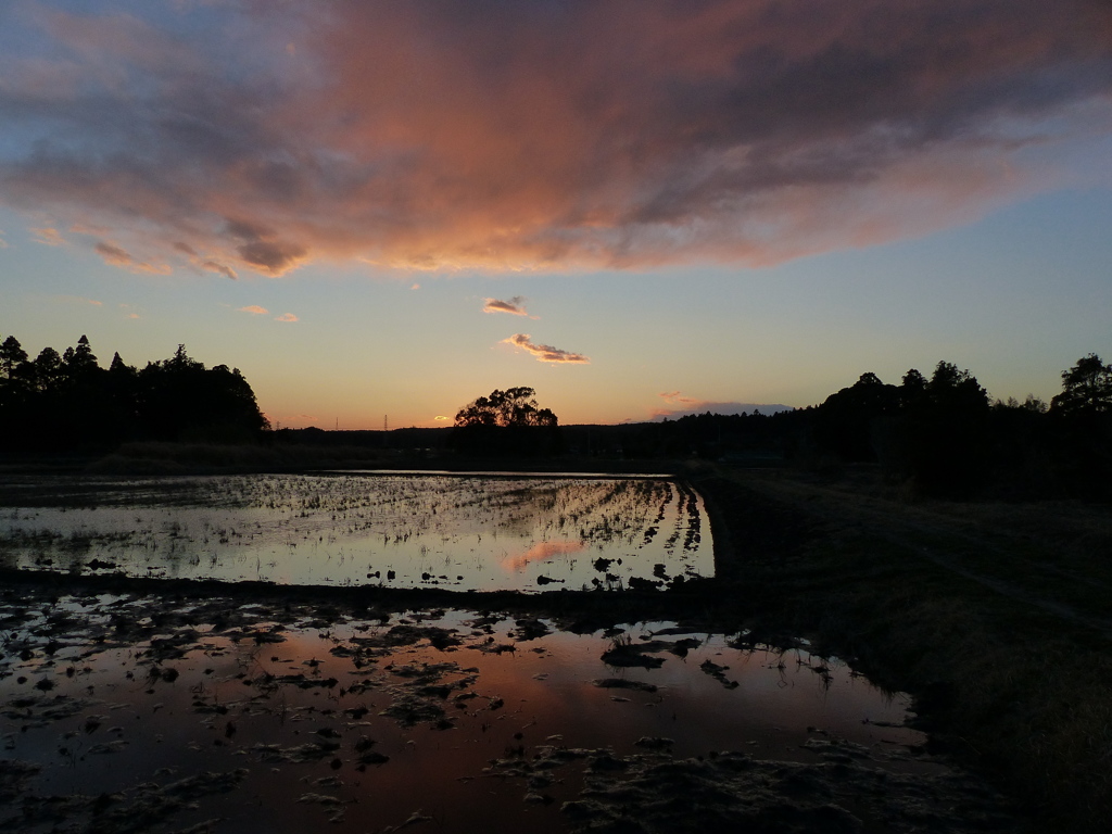 夕焼け　2