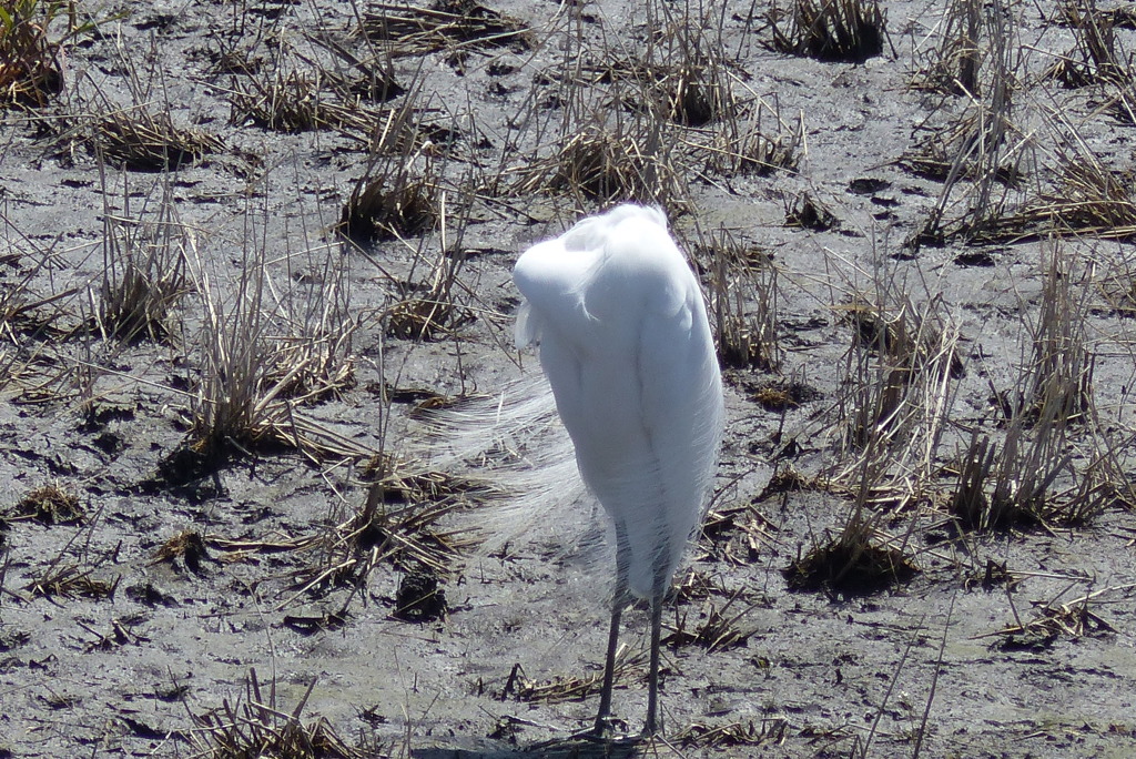 どうなってる？