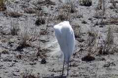 どうなってる？