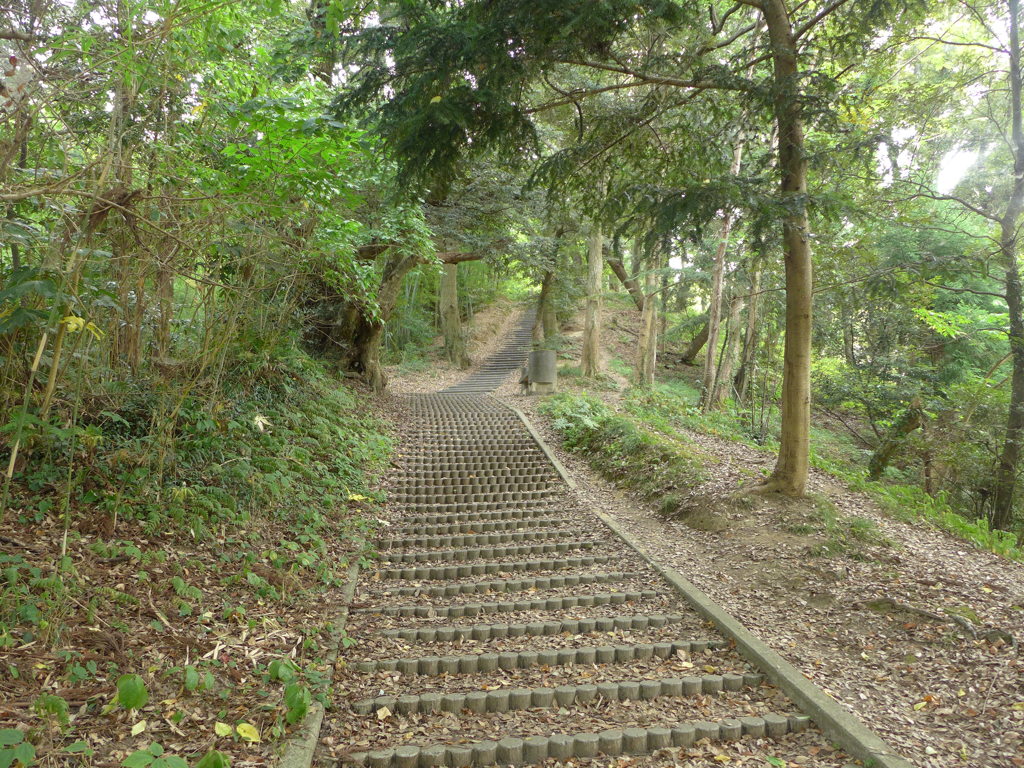 長～い階段遊歩道