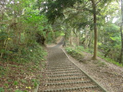 長～い階段遊歩道