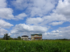 まだ夏雲の延長？