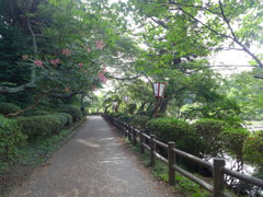 茂原公園　②