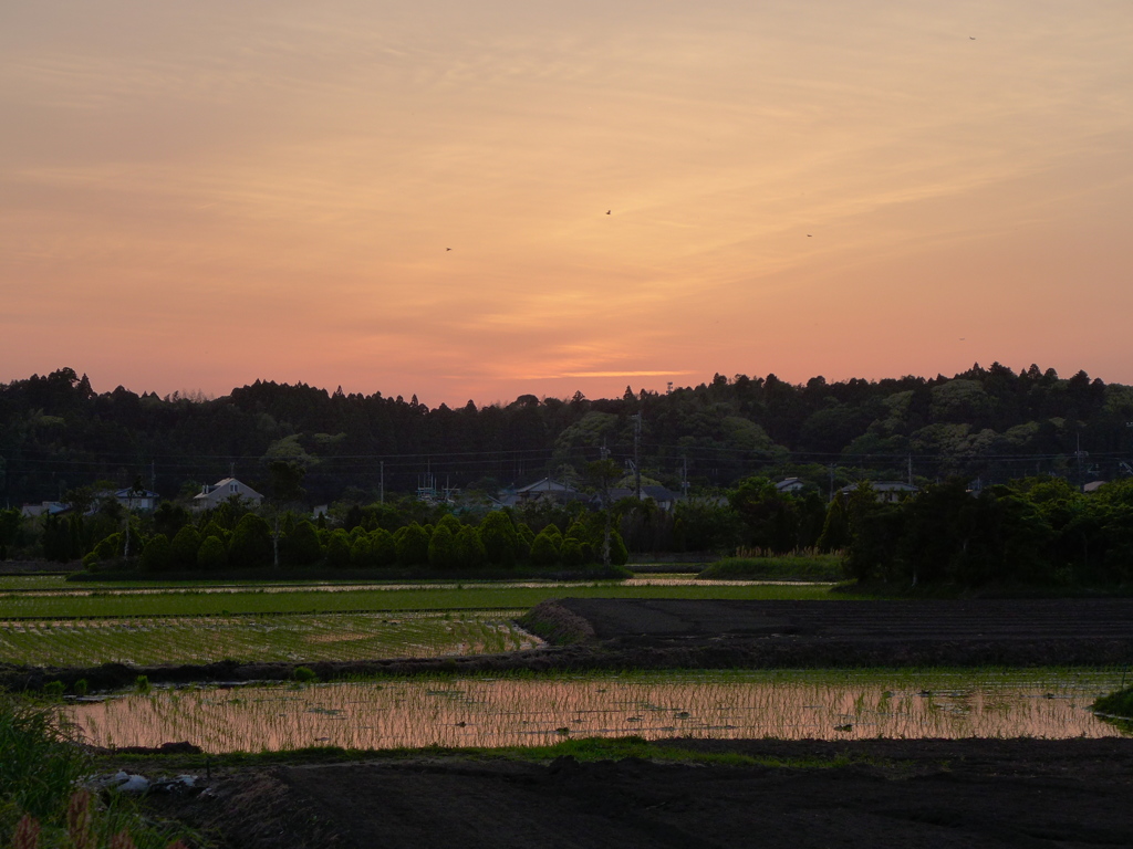 里山風景