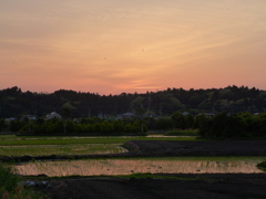 里山風景