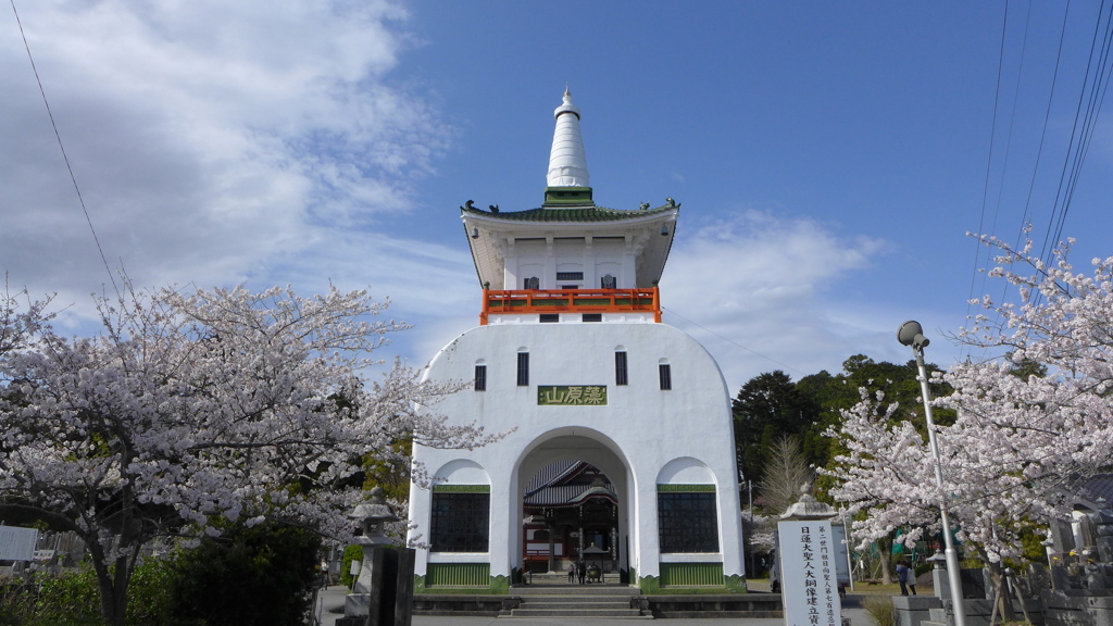 桜と山門